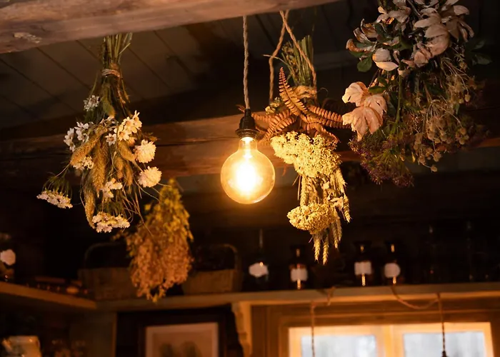 Aino Private Island - Adults Only فندق